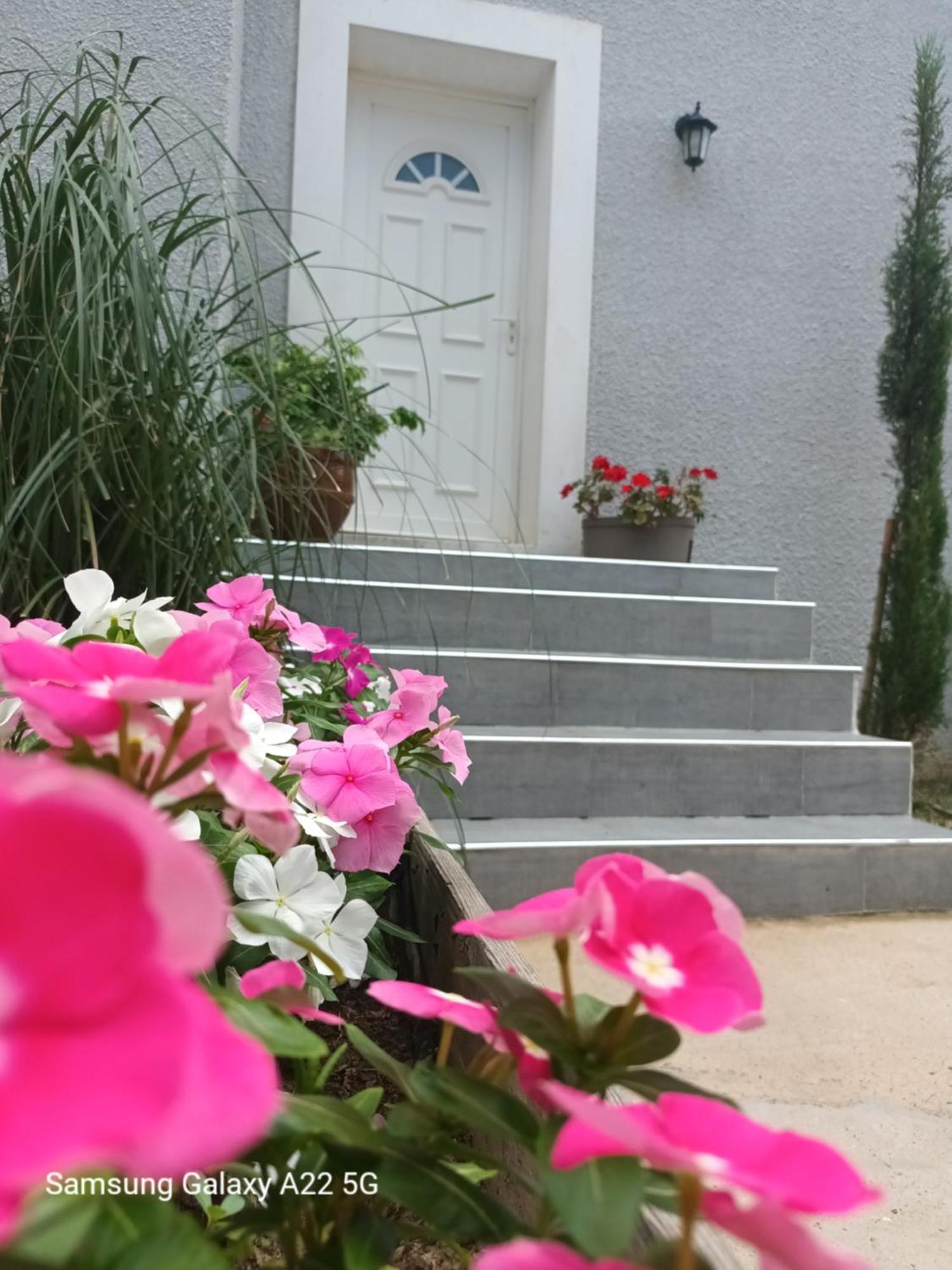 Villa San Salvador Torreilles Plage Ngoại thất bức ảnh